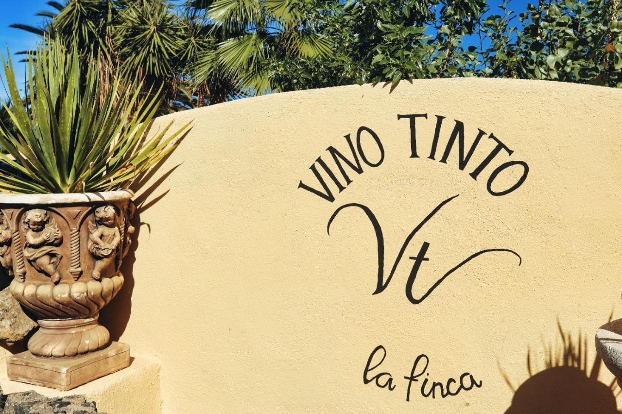 Finca Vino Tinto 1 Икод-де-лос-Винос Экстерьер фото